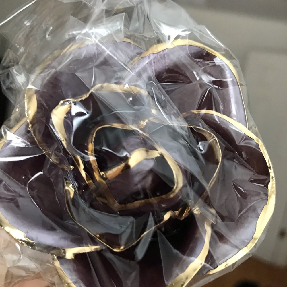24k gold dipped rose